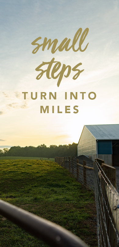 Small steps turn into miles